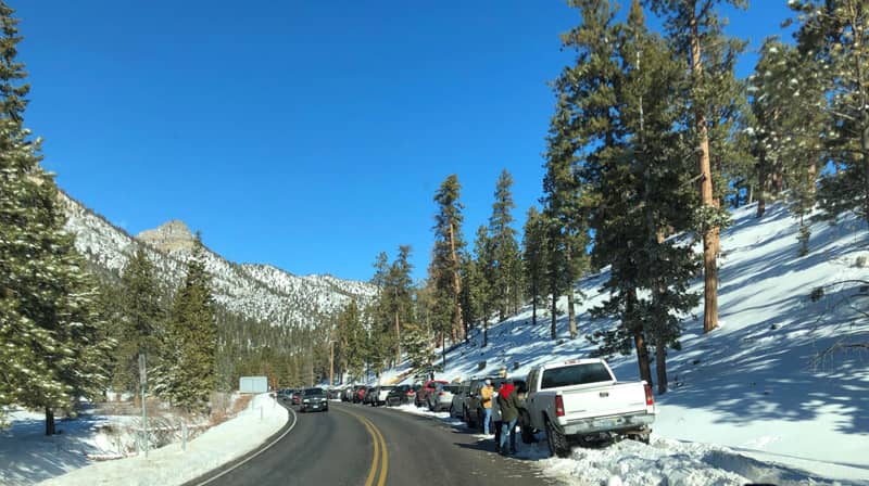 Mount Charleston Tour from Las Vegas