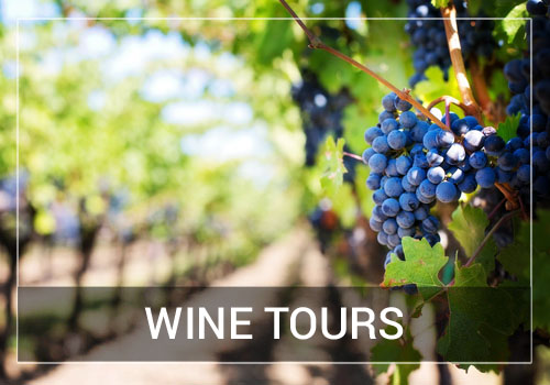 Winery Tours in Las Vegas